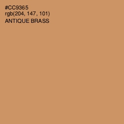 #CC9365 - Antique Brass Color Image